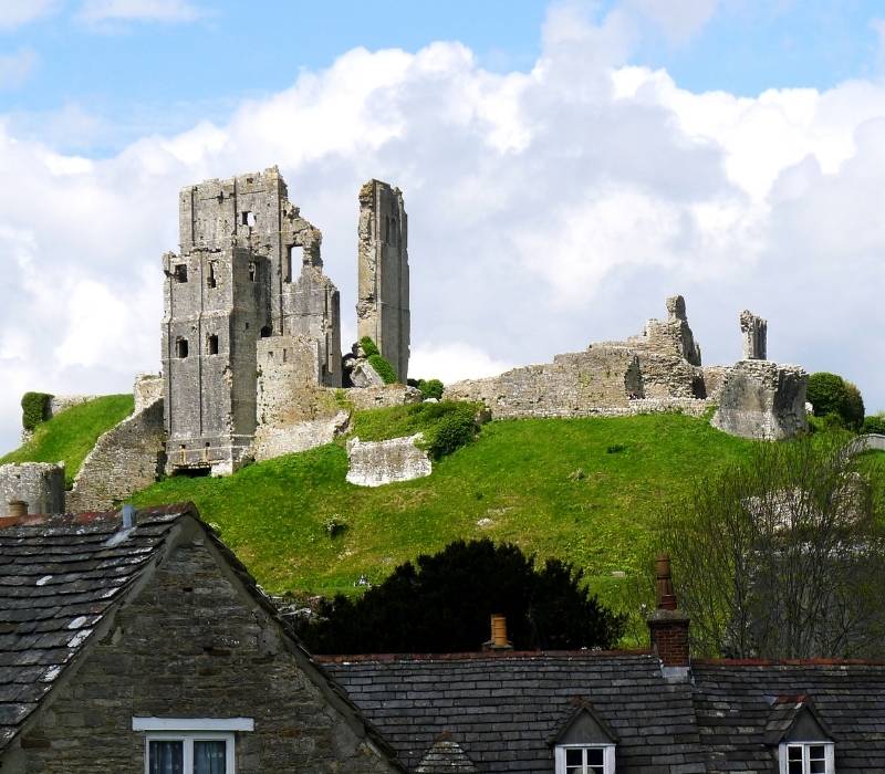 Durdle Door, Corfe Castle & the New Forest