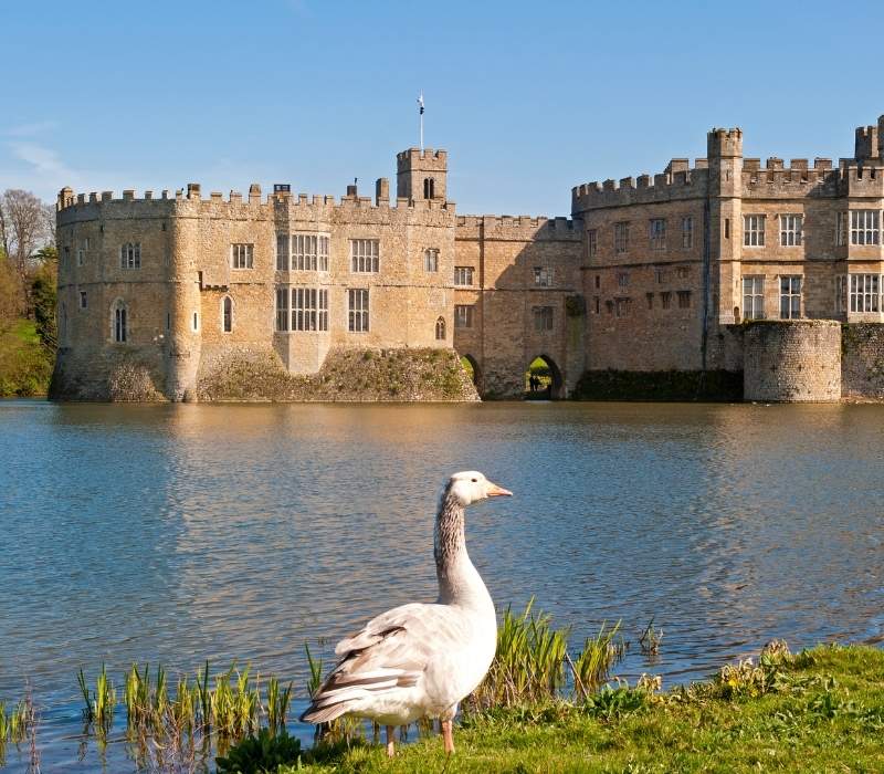 Leeds Castle, Canterbury & Dover